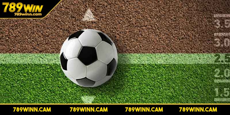 Soi Kèo Bóng Đá Chuẩn Và Hướng Dẫn Chi Tiết Từ 789WIN 3 Soi kèo bóng đá chuẩn khi canh thời điểm đặt cược
