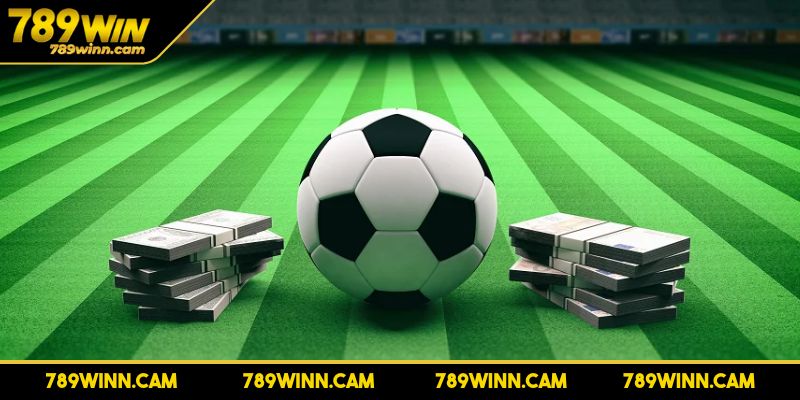 Soi Kèo Bóng Đá Chuẩn Và Hướng Dẫn Chi Tiết Từ 789WIN 2 Loại hình Tài/Xỉu hấp dẫn